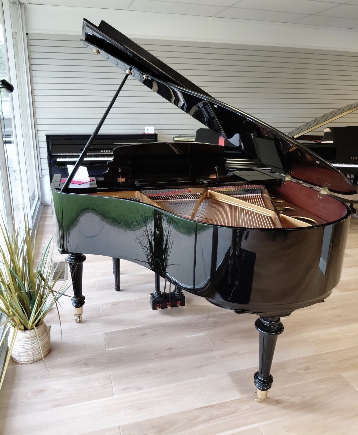 Ritmüller GP-142R Petite Baby Grand 