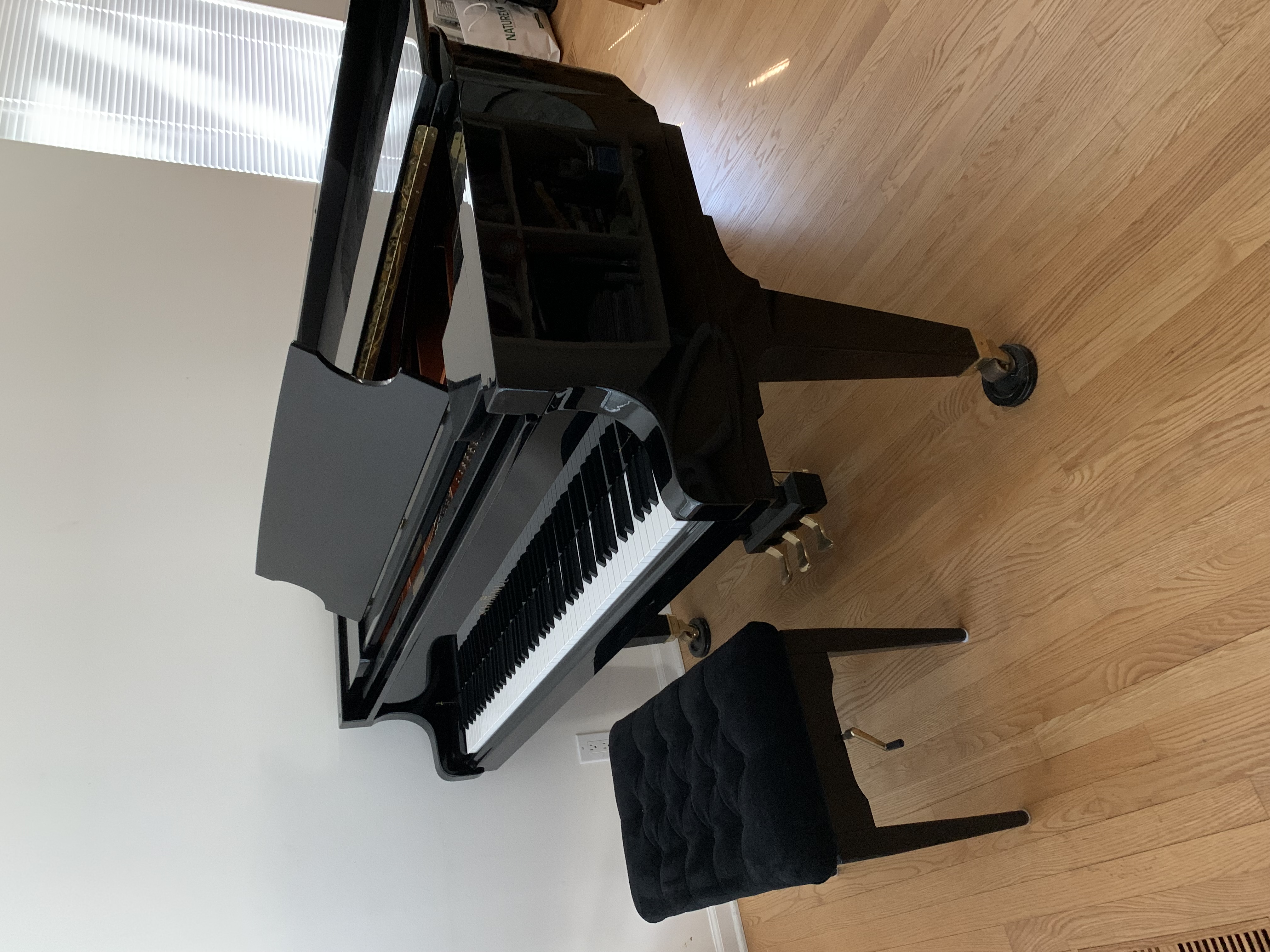 Schimmel Baby Grand