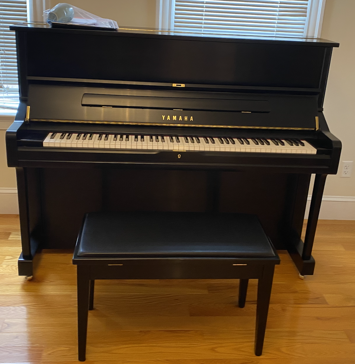 2021 Yamaha U1 Like New