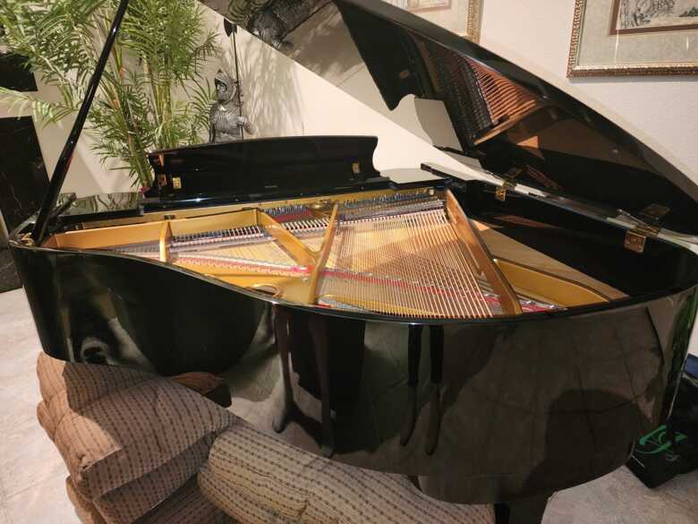 Grand Piano in Scottsdale AZ for sale!