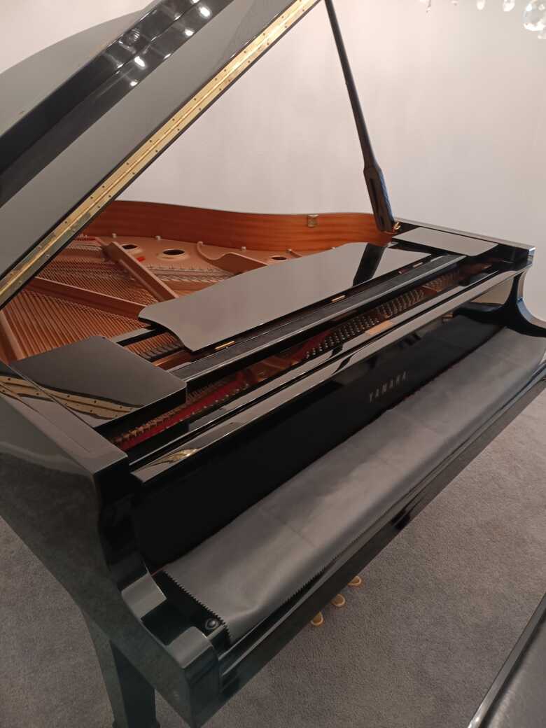 Decadent, professional baby grand for discerning buyers