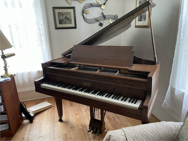 Wurlitzer/Apollo Baby Grand (D2?)