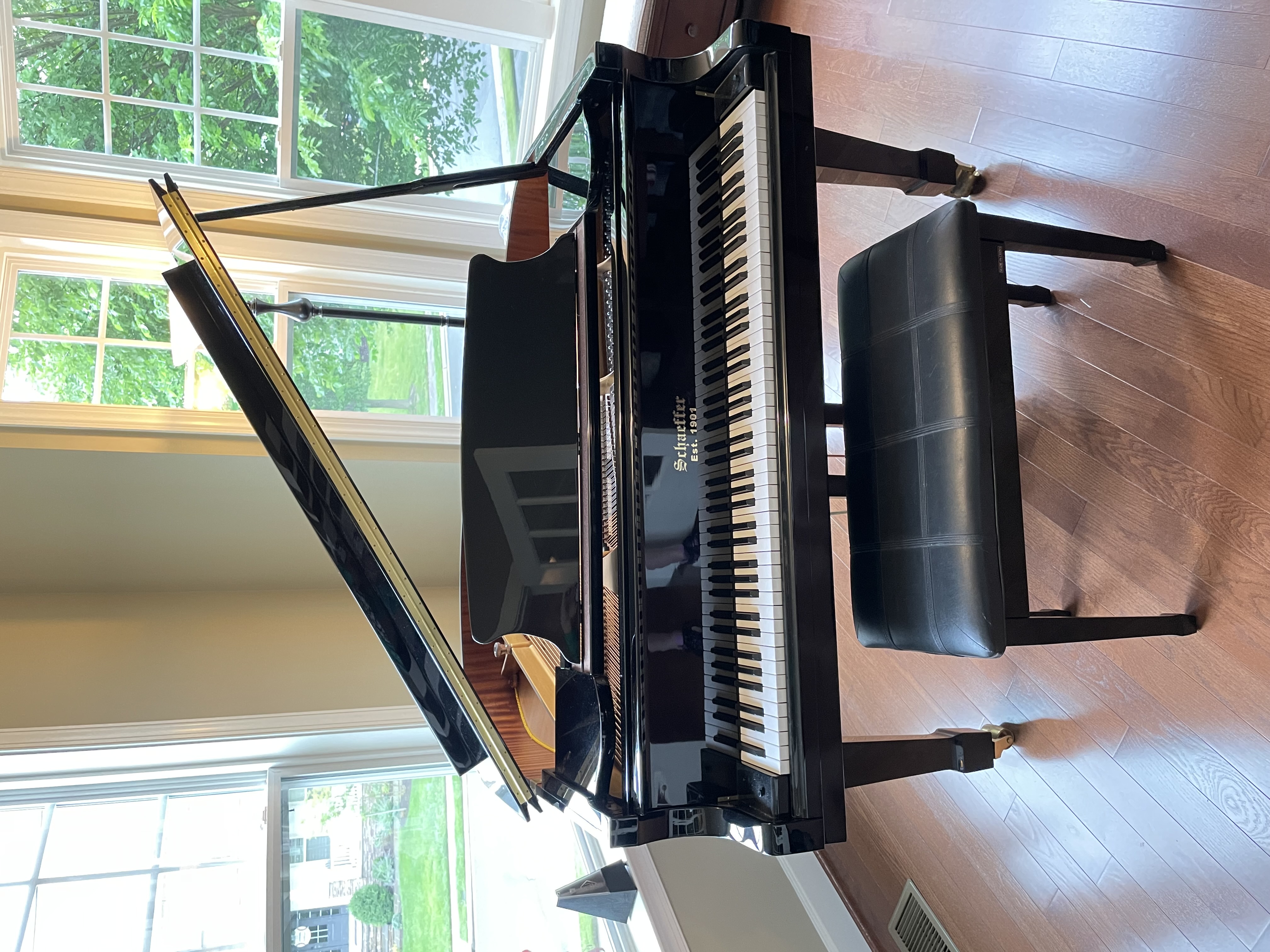 Well cared for baby grand - Schaeffer (Rockville, MD)