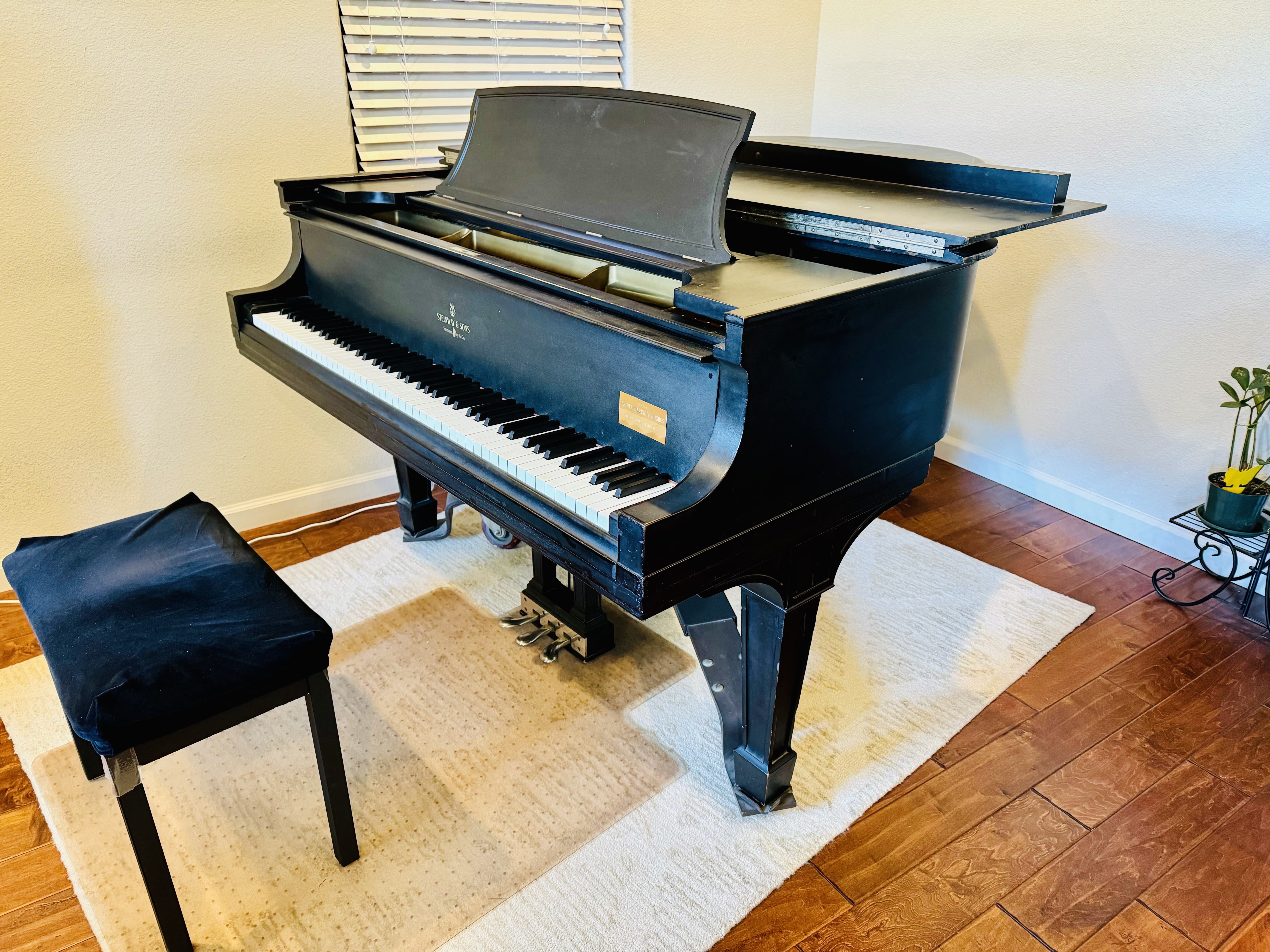 Golden Era Steinway A3