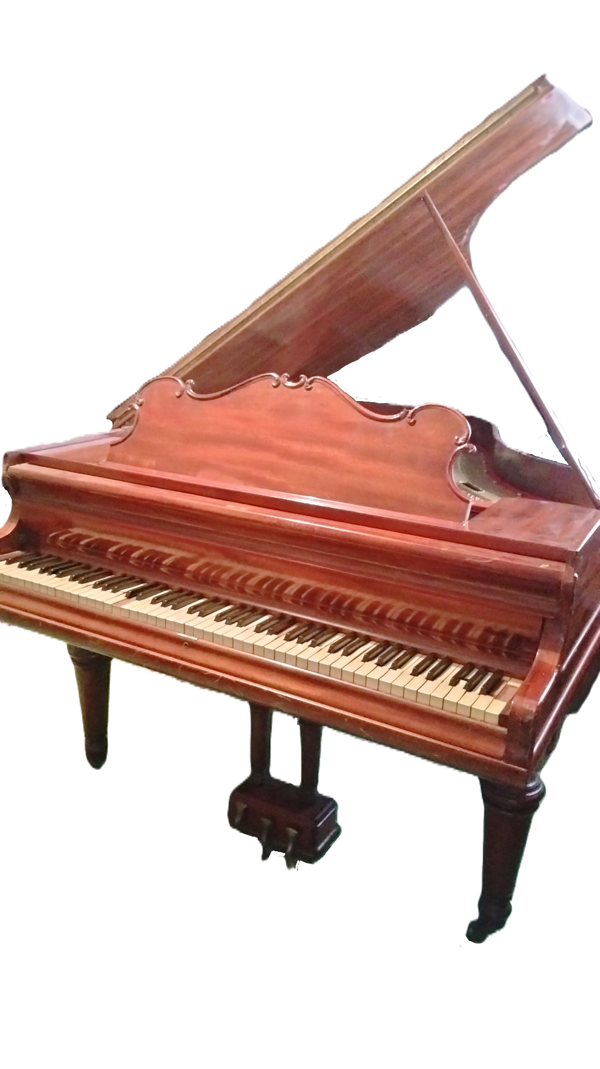 Kranich & Bach 1904 special offer