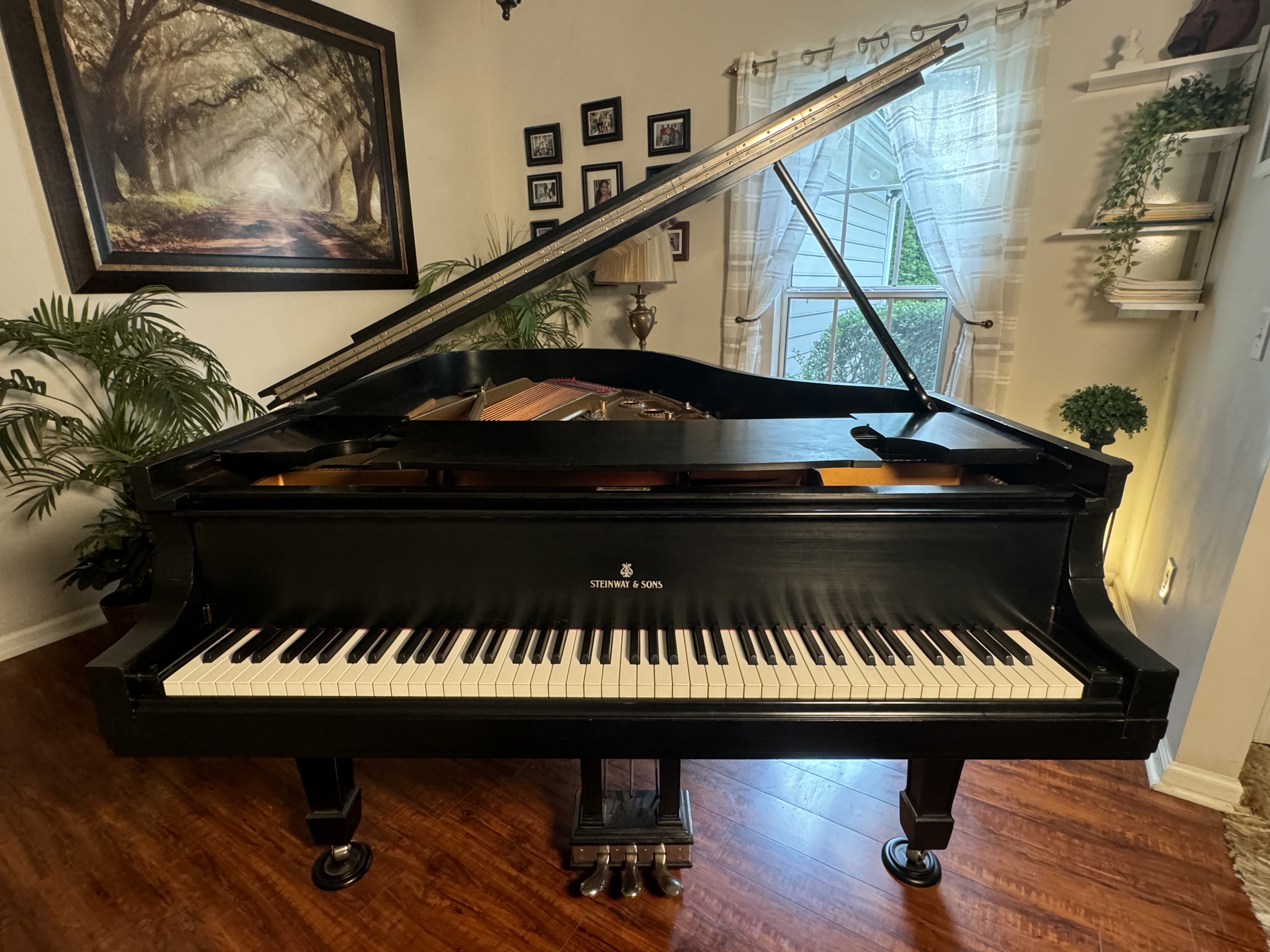 Ebony refurbished 6ft model A Steinway from 1913