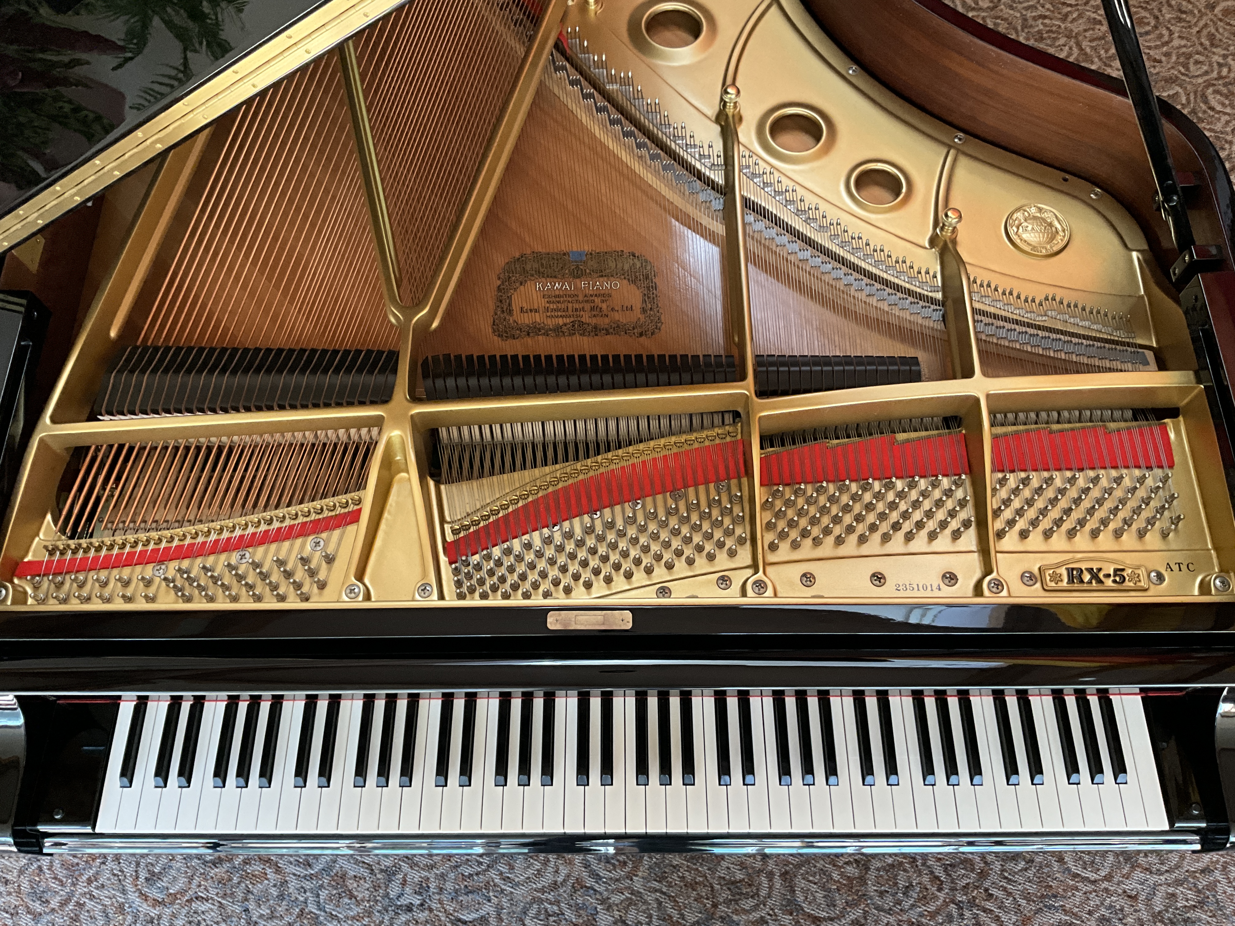 Kawai RX-5 (6'6") Artist Grand Piano