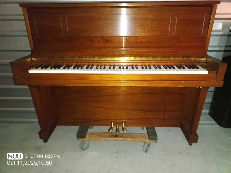Steinway Professional Upright Piano 