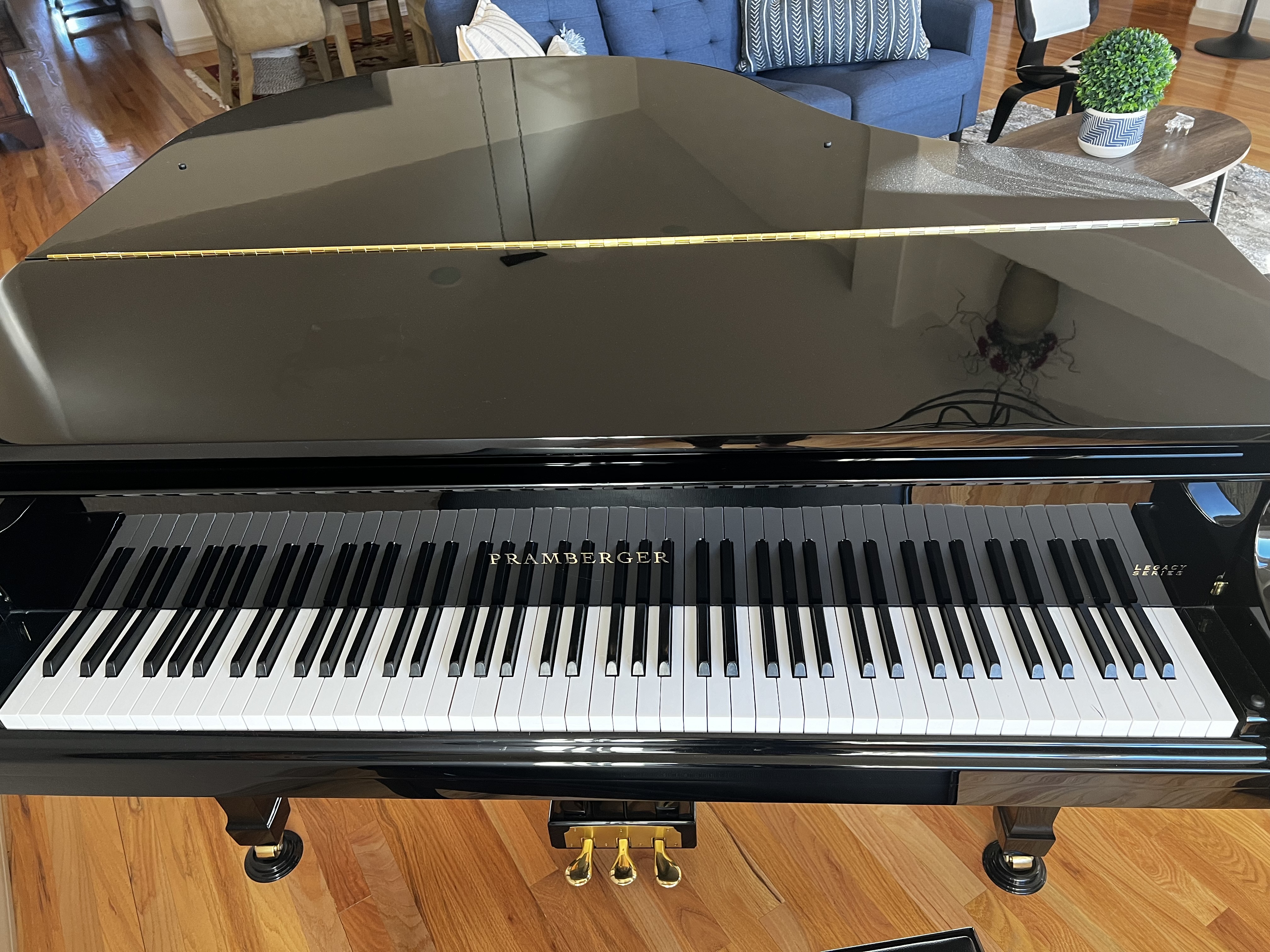 Pramberger Ebony High Polish Baby Grand Piano for sale