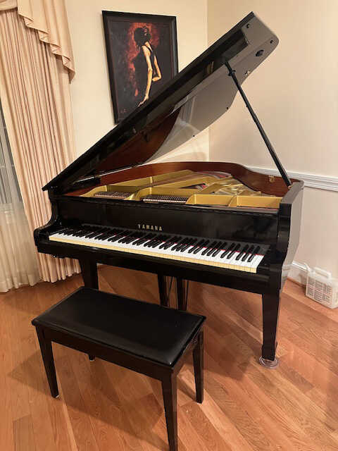 Baby Grand Piano, Immaculate