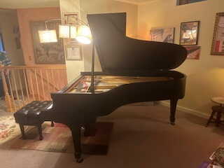 Need to Sell! A Perfect Piano