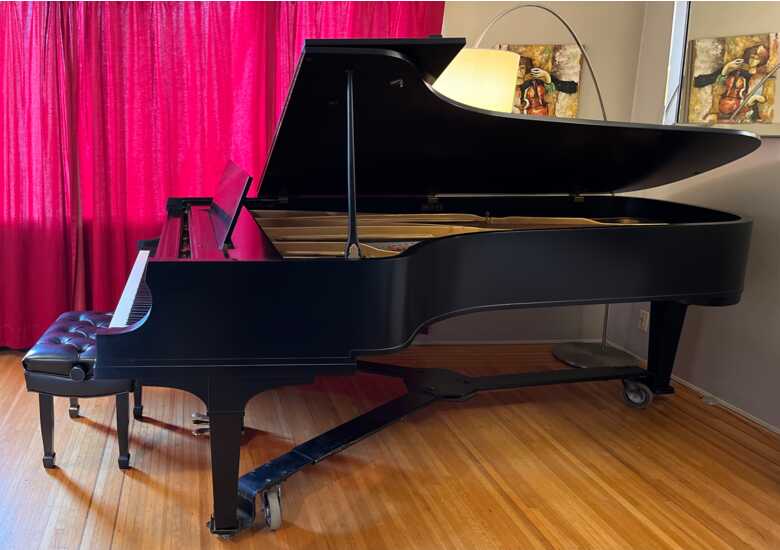 Rare Gem: Concert Grand Piano Baldwin SD-10