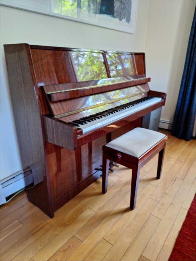 Petrof 88 key upright piano