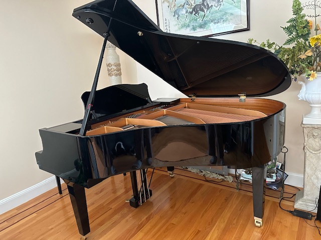 Yamaha Excellent Condition Baby Grand