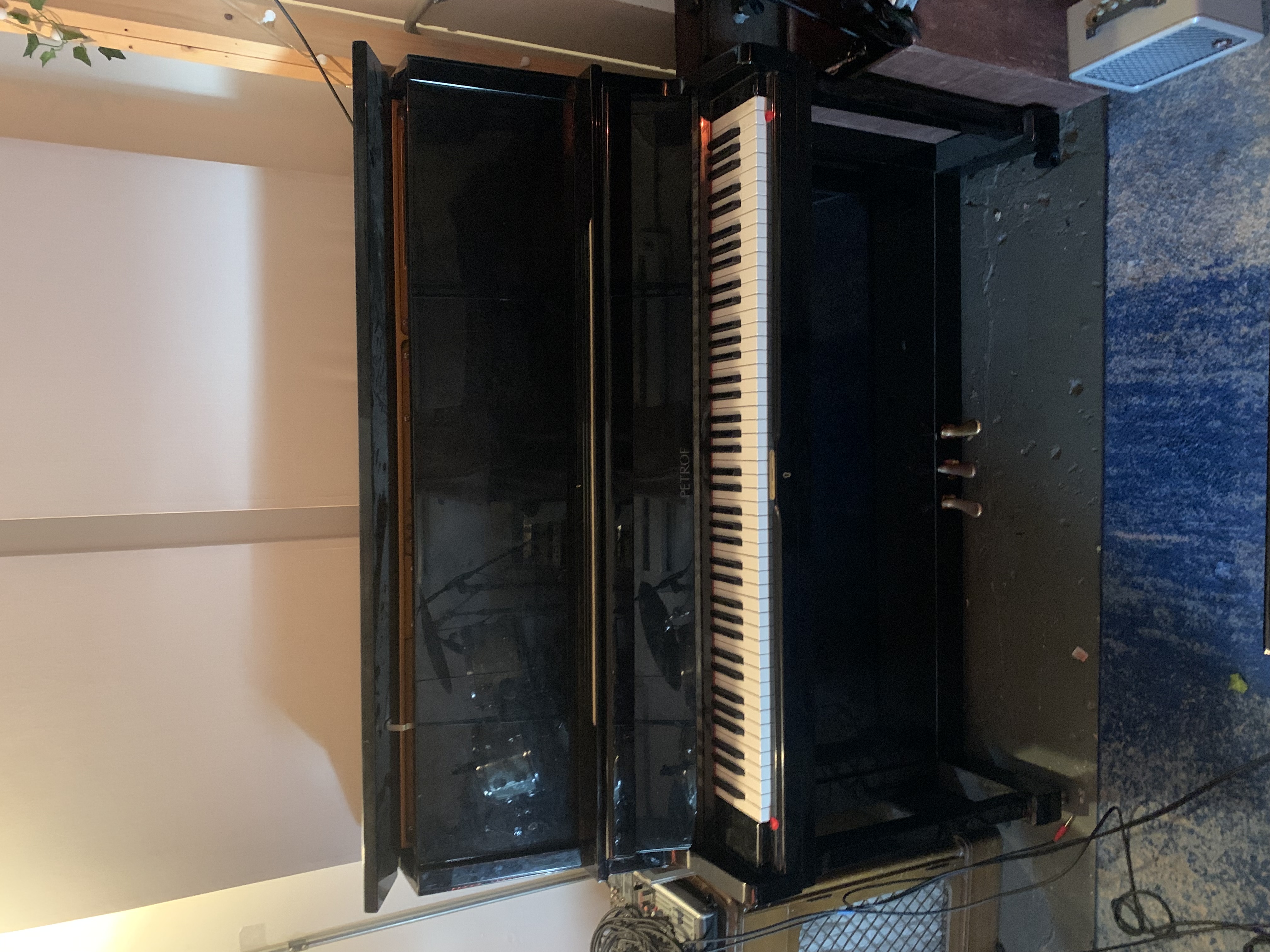 Petrof P 131 Upright Looking for Good Home!