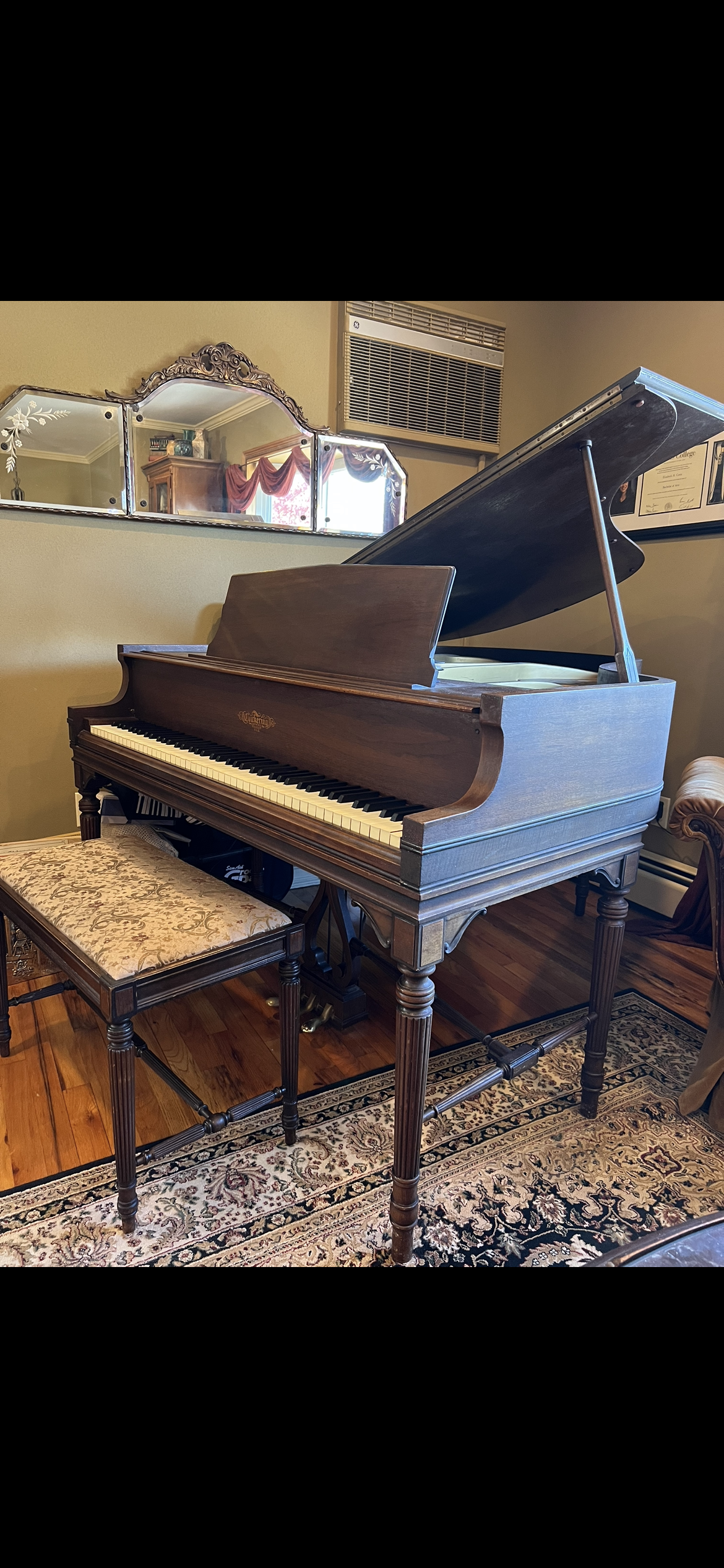 Exquisite rare and unique Art case chickering piano