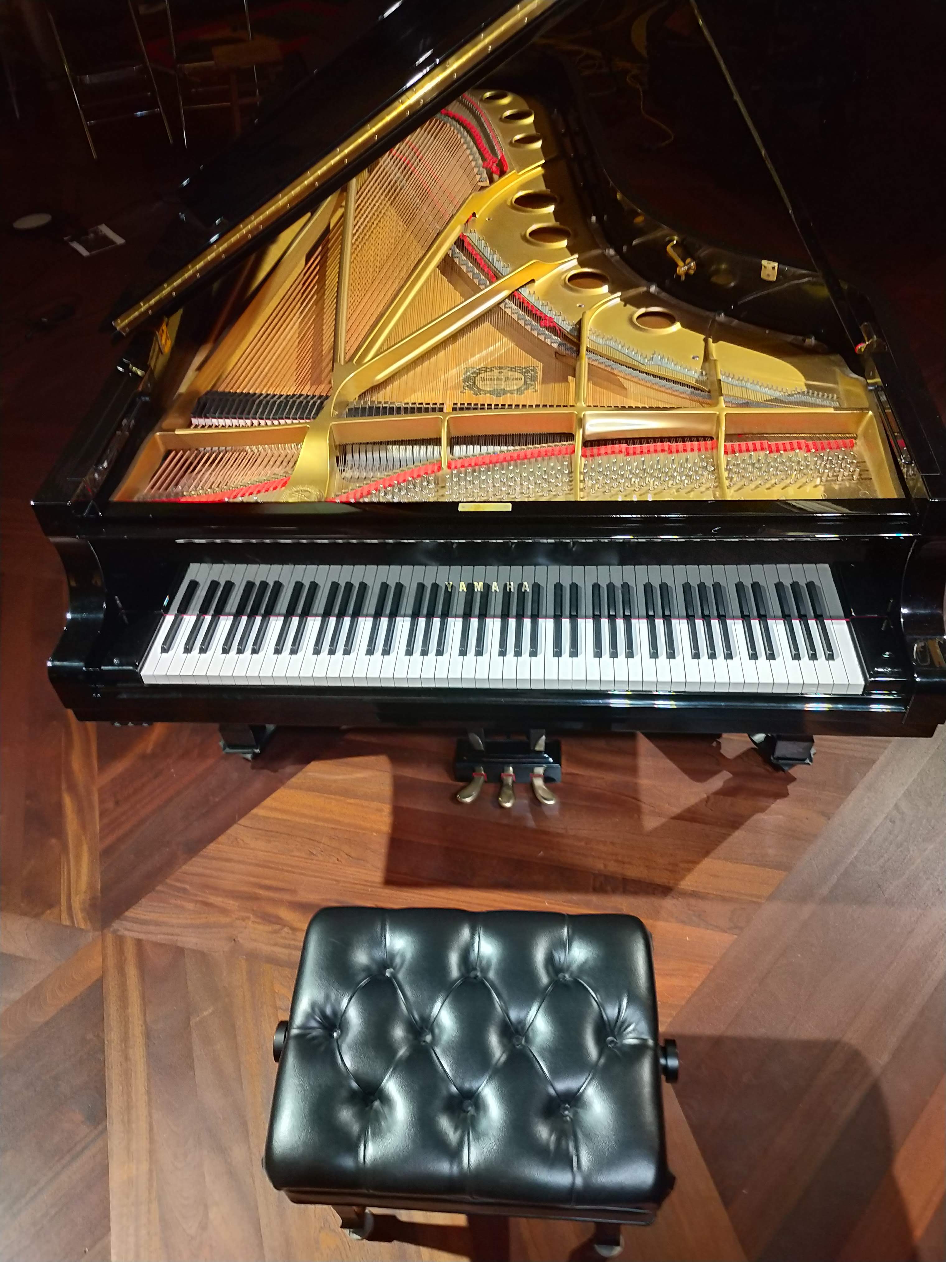 Yamaha 9' Grand Ready for Action! [price drop]