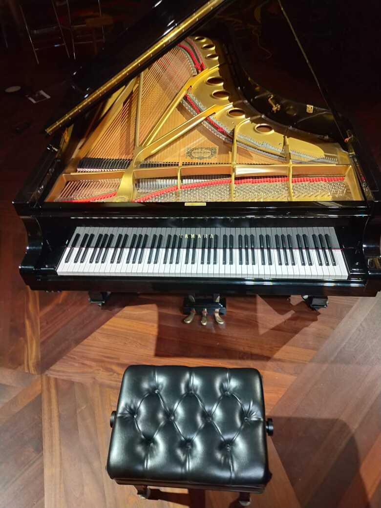 Yamaha 9' Grand Ready for Action! [end of year price drop]