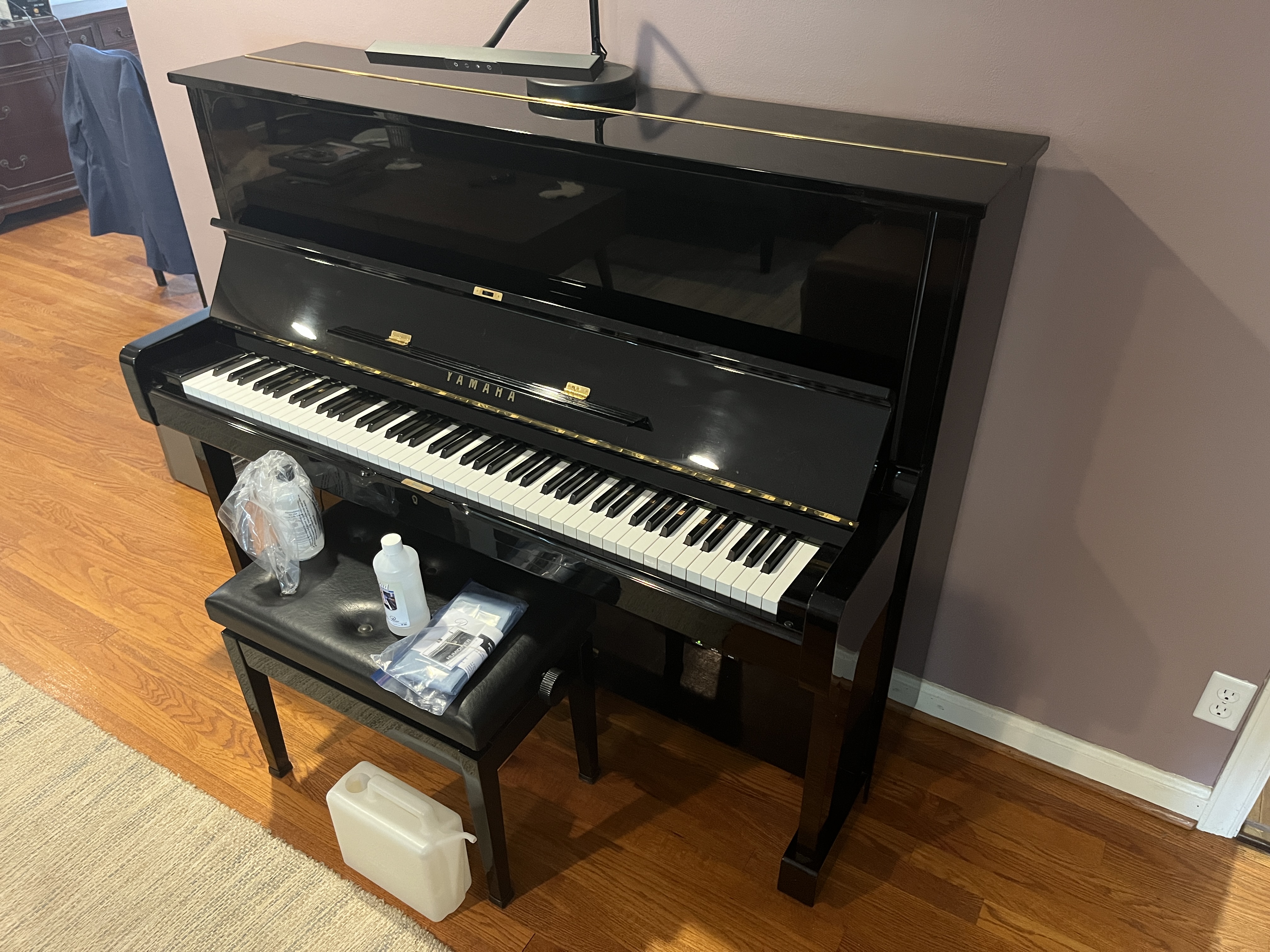 1977 Yamaha U1