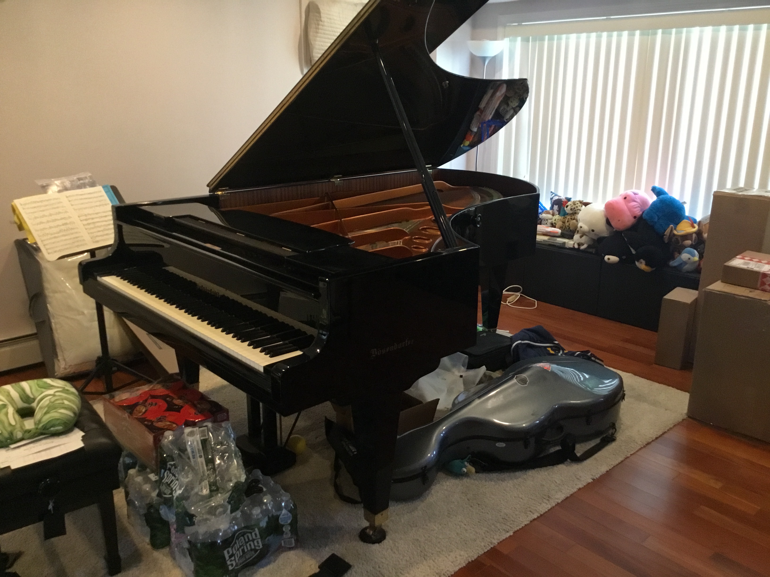 Bosendorfer 275 hardly use