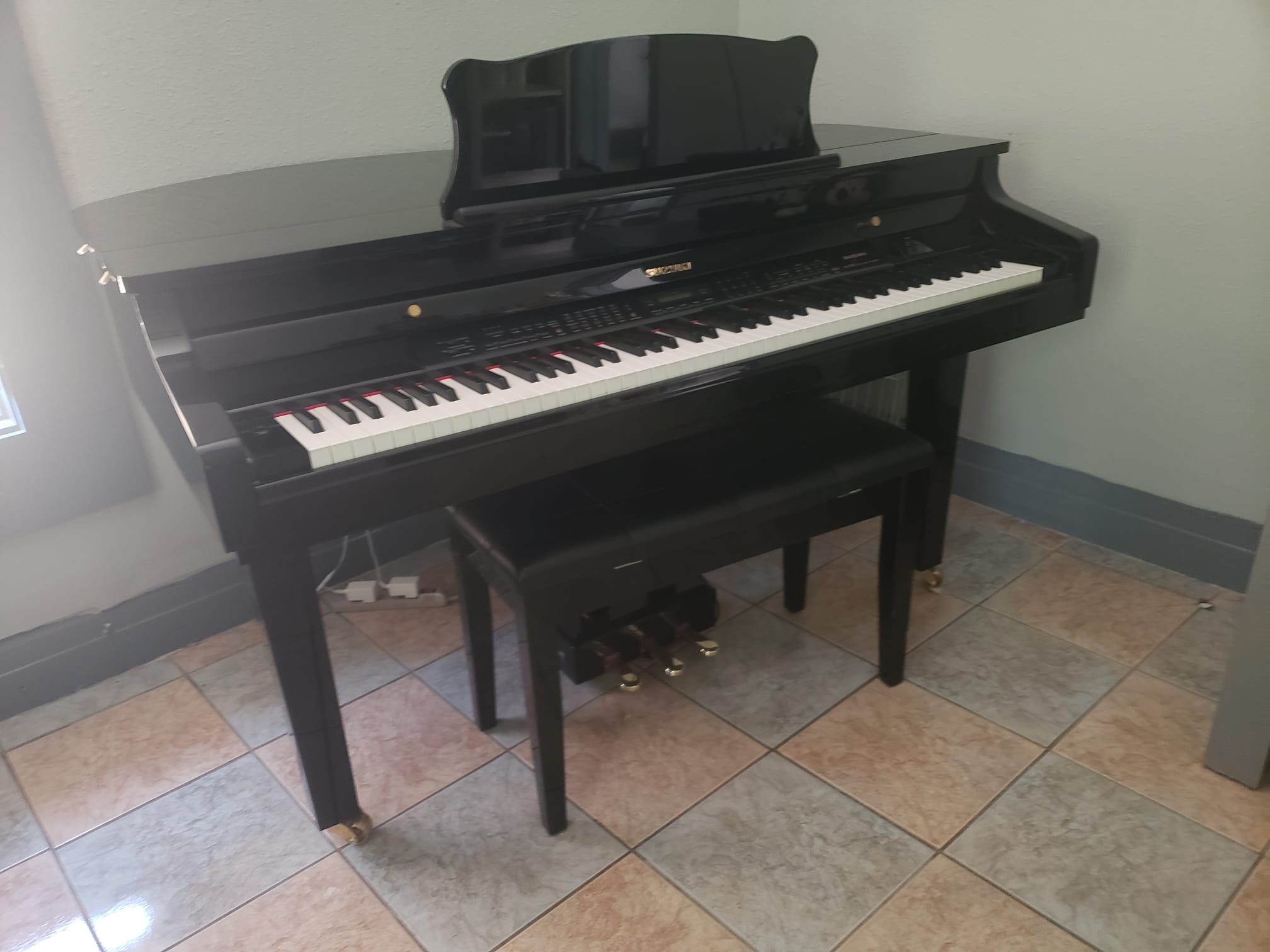 Suzuki MDG-300 Black Micro Grand Digital Piano