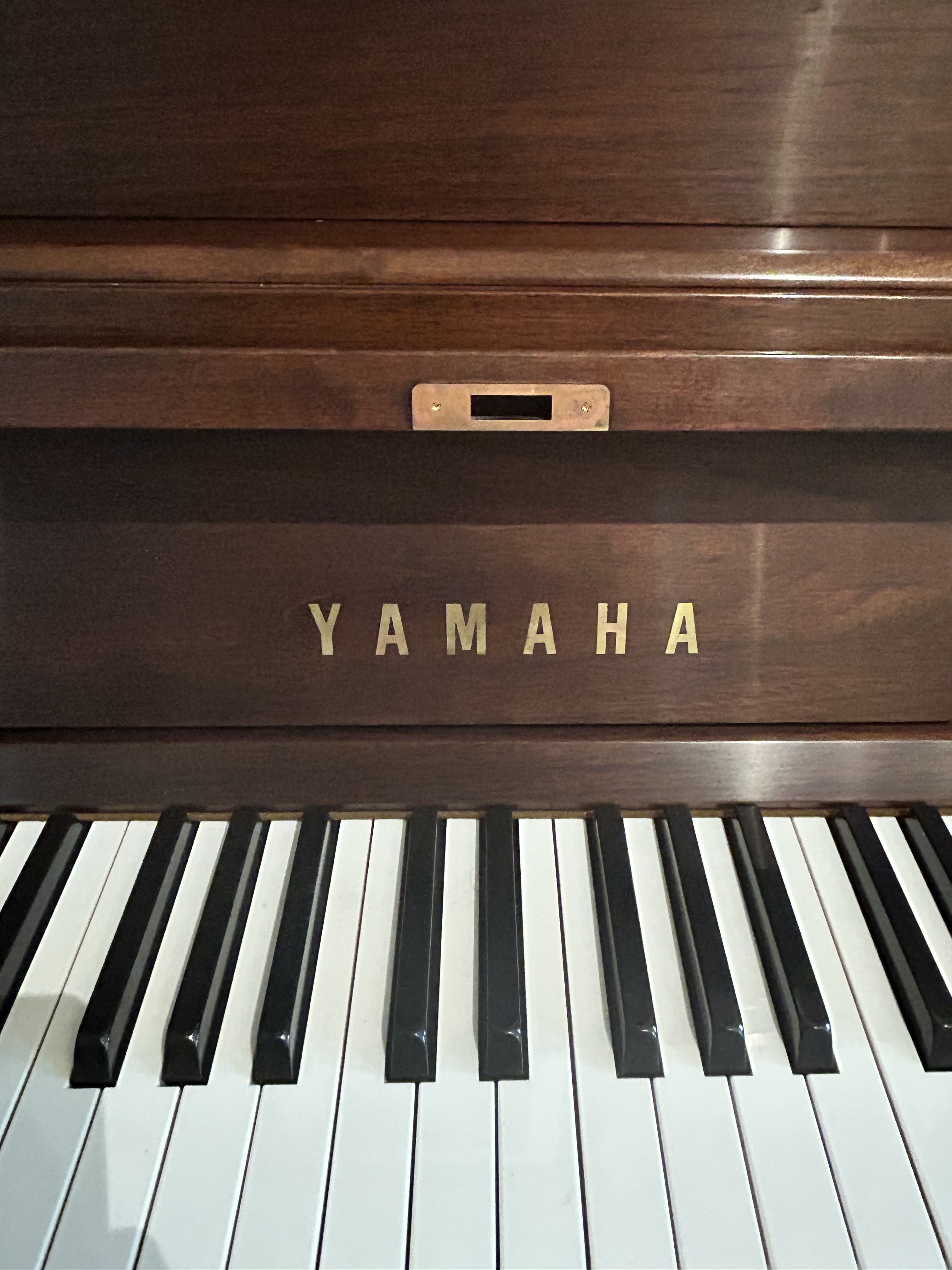 2008 Yamaha P22 SW with Bench