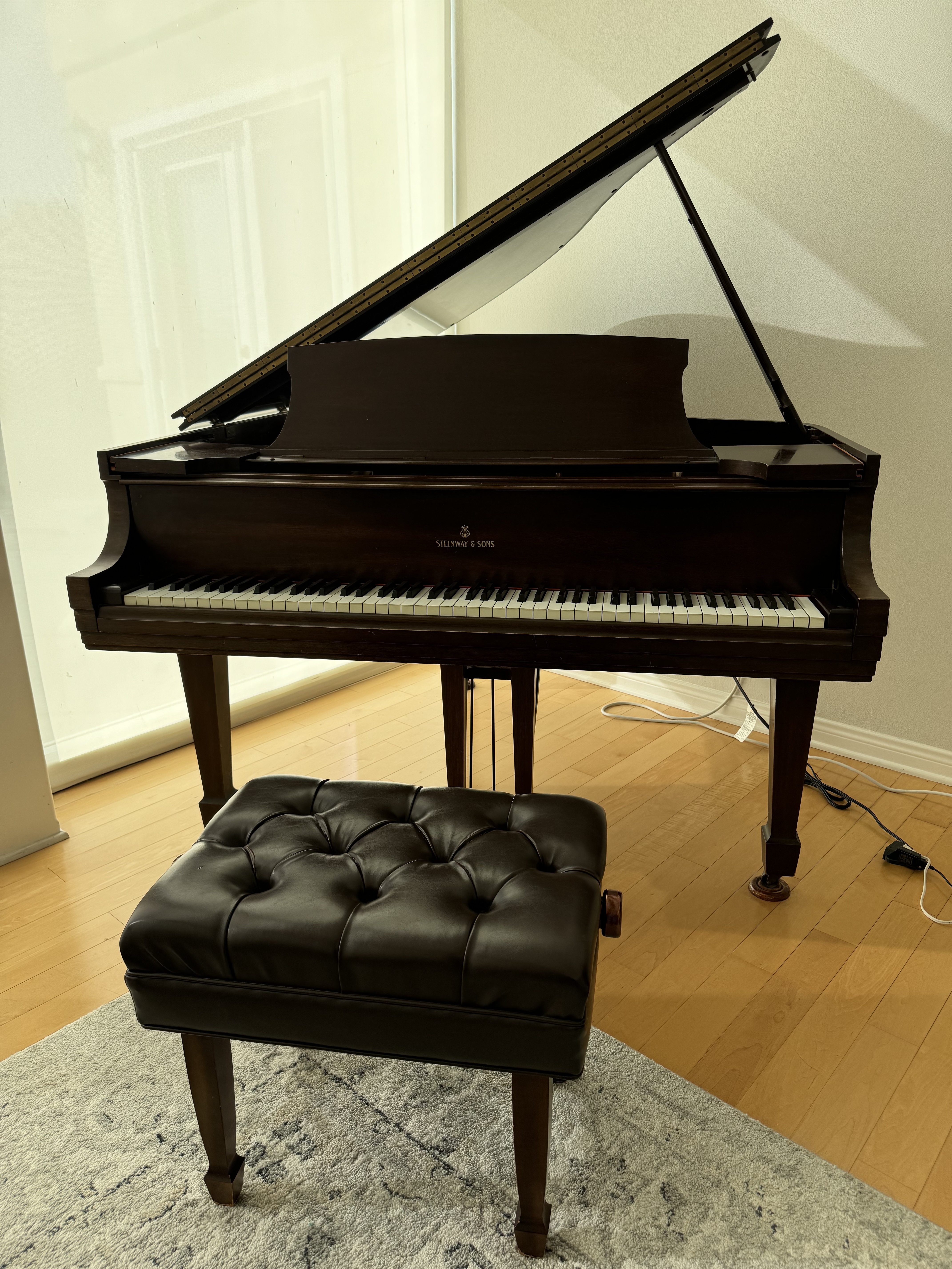 Steinway & Sons Model S