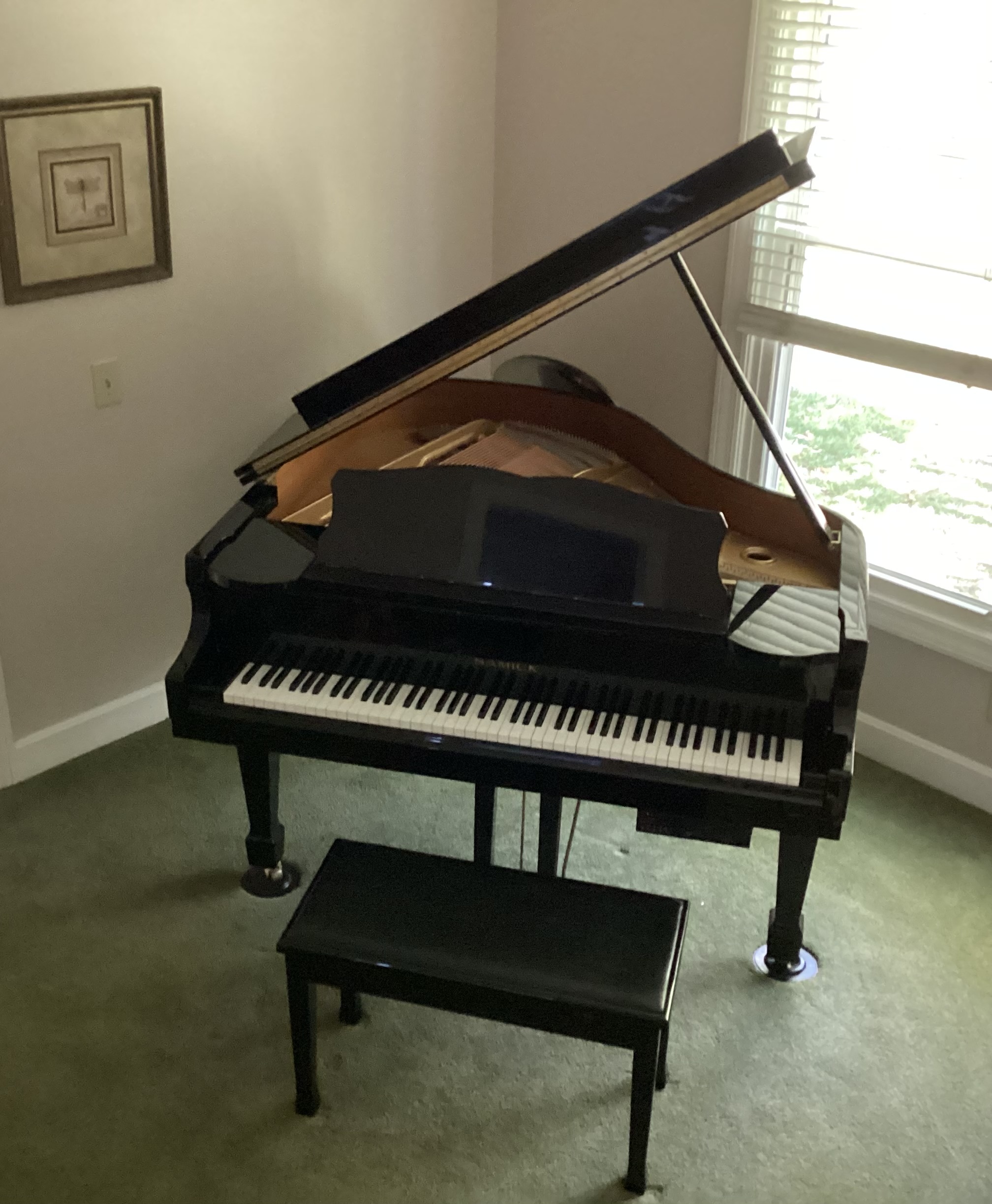 Samick Baby Grand with Piano Disc players system