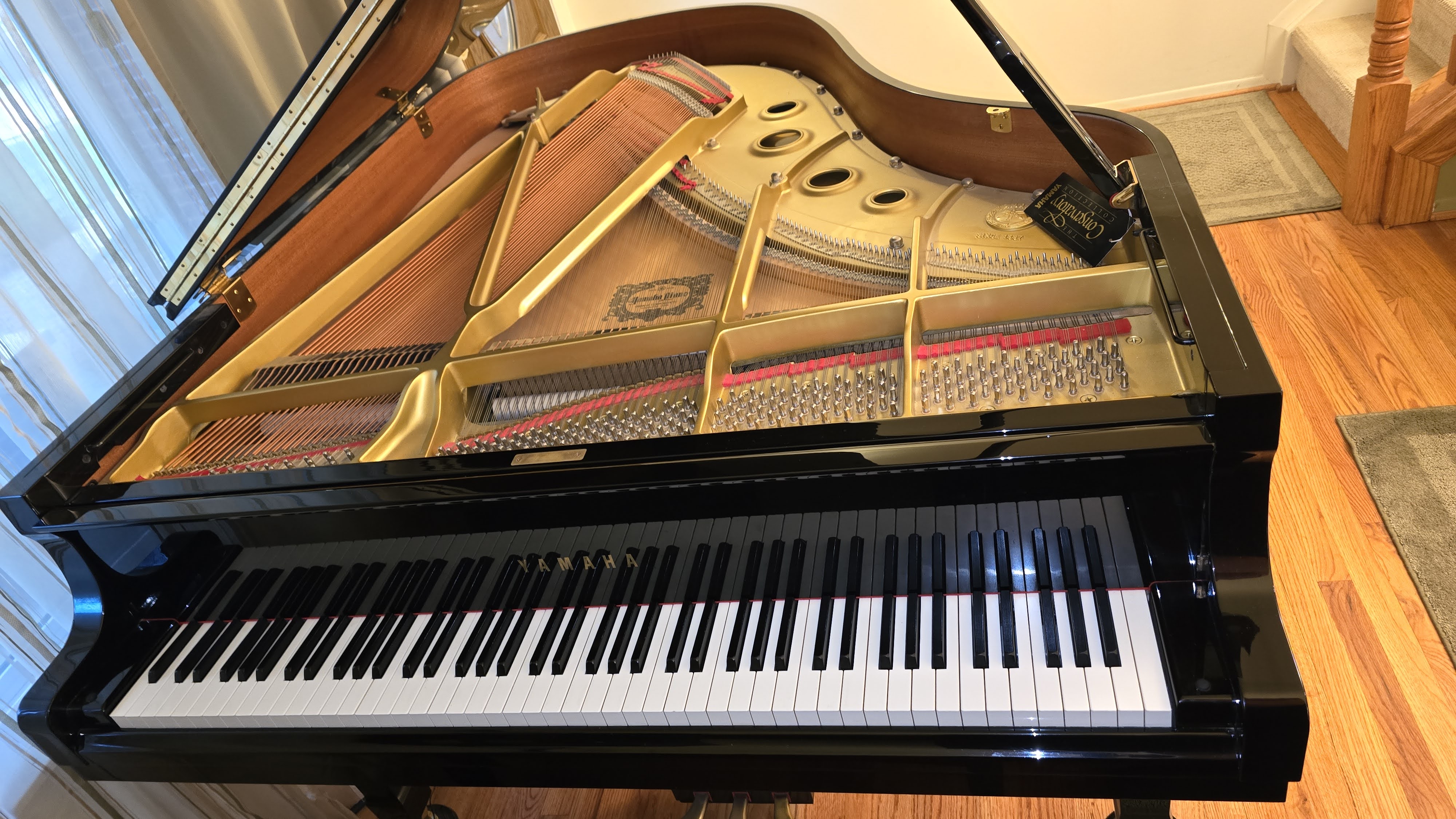 Disklavier D-C3