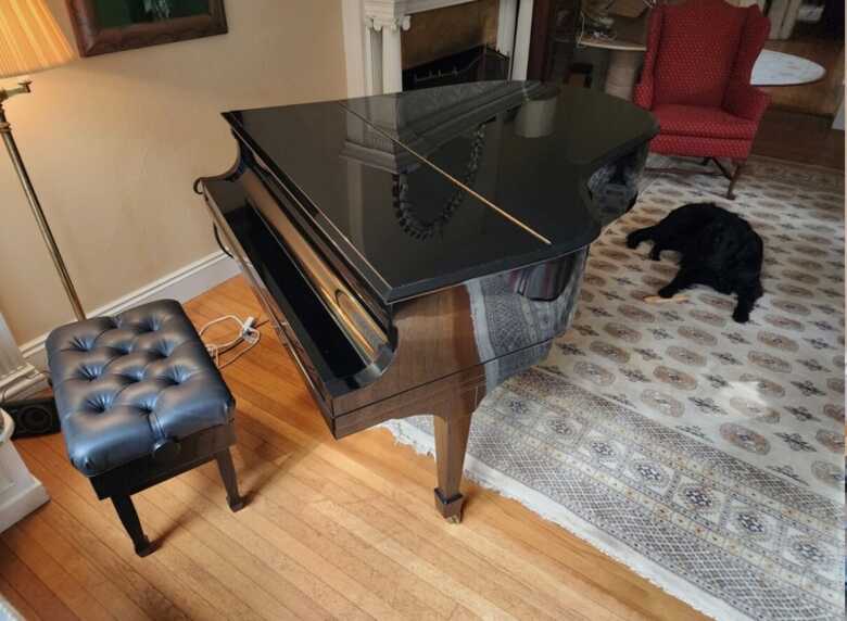 Steinway and sons M 5’7” (donation)