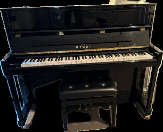 kawaii—excellent condition, hardly used