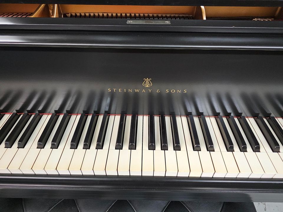 Steinway & Sons Model O 