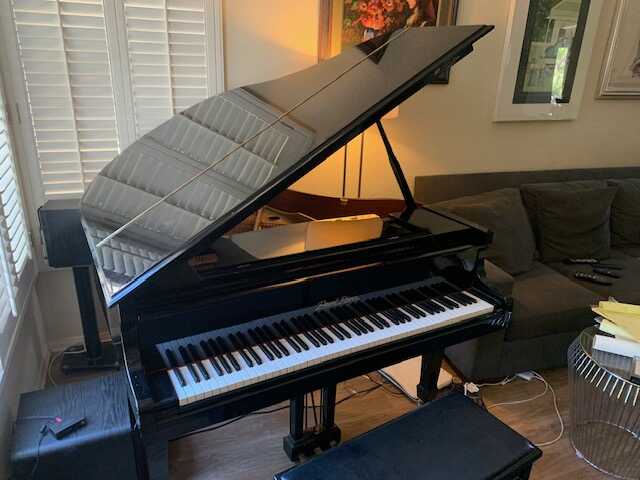 Pearl River Baby Grand Piano