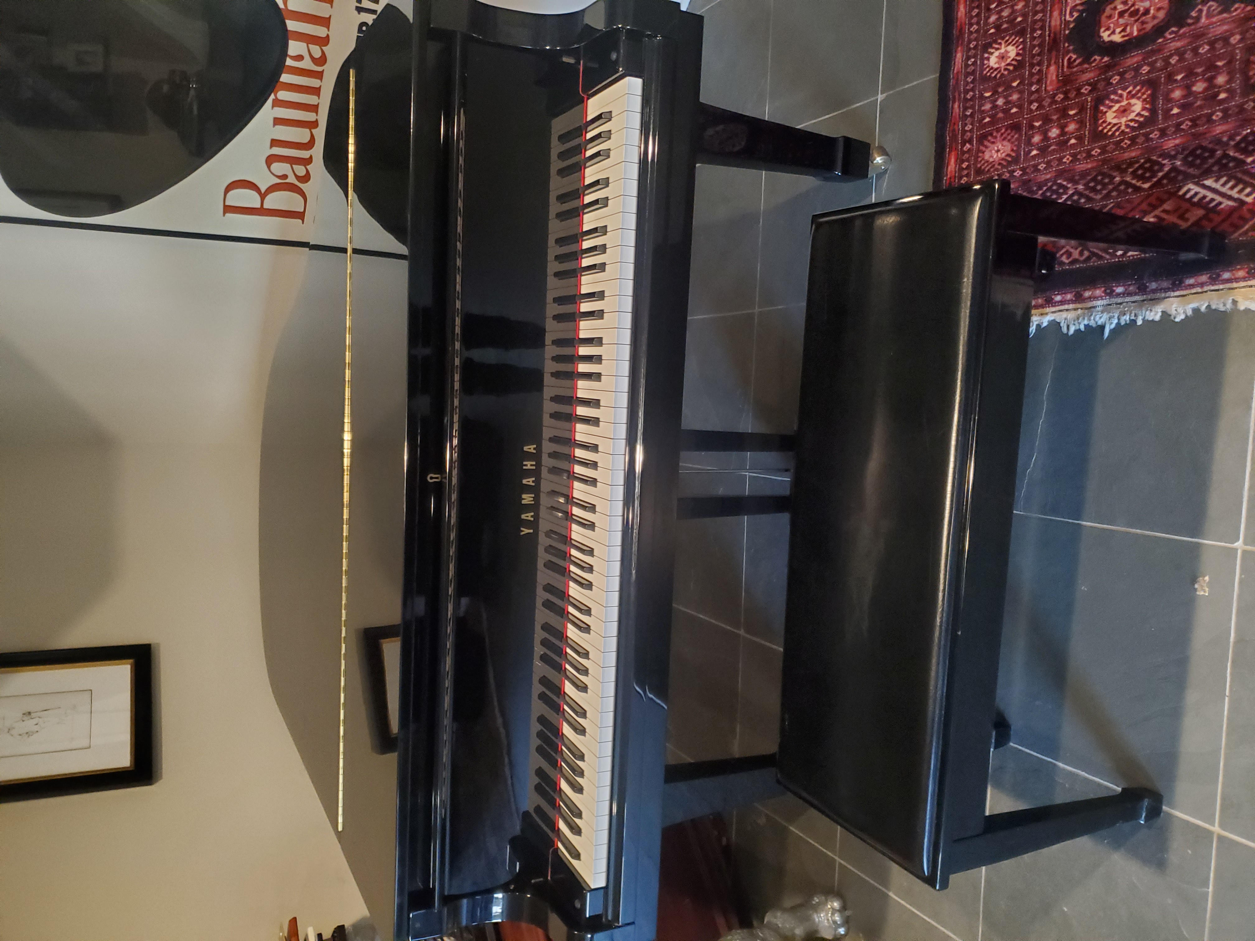 Gorgeous Yamaha Grand Piano