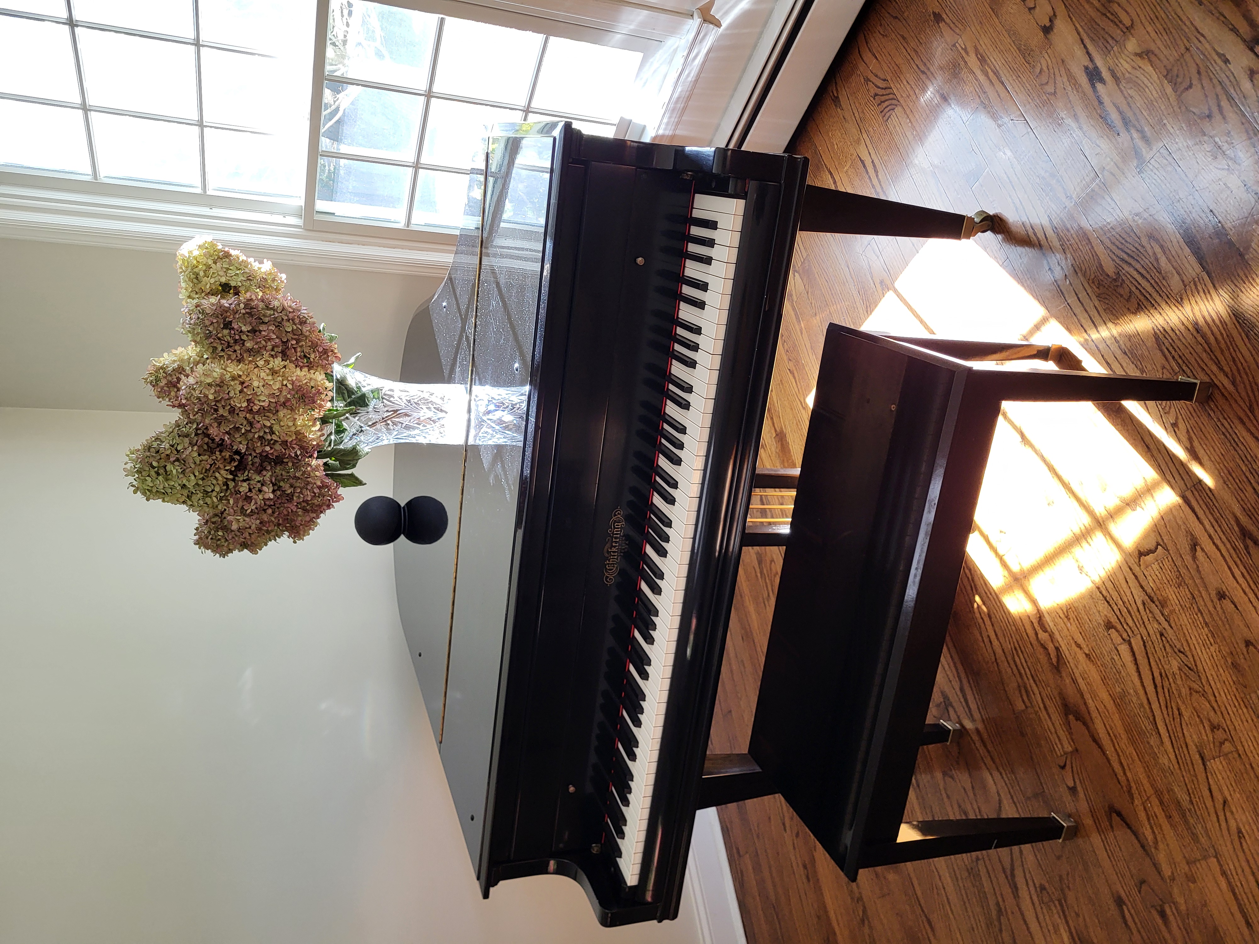 Beautiful full restored Chickering piano