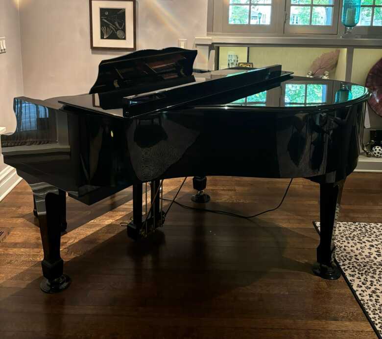 Gorgeous black baby grand and player piano!