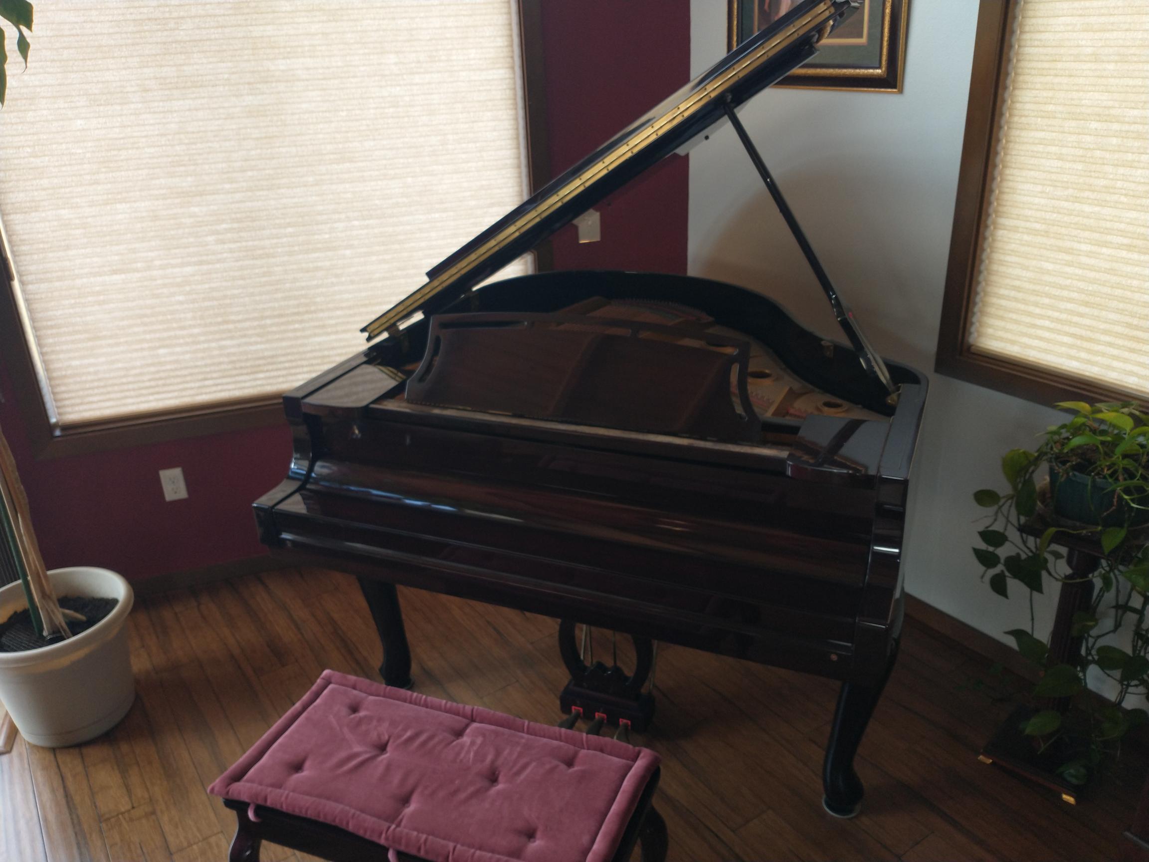 Baby Grand Piano