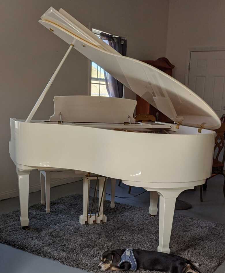 Baby Grand in time for Christmas