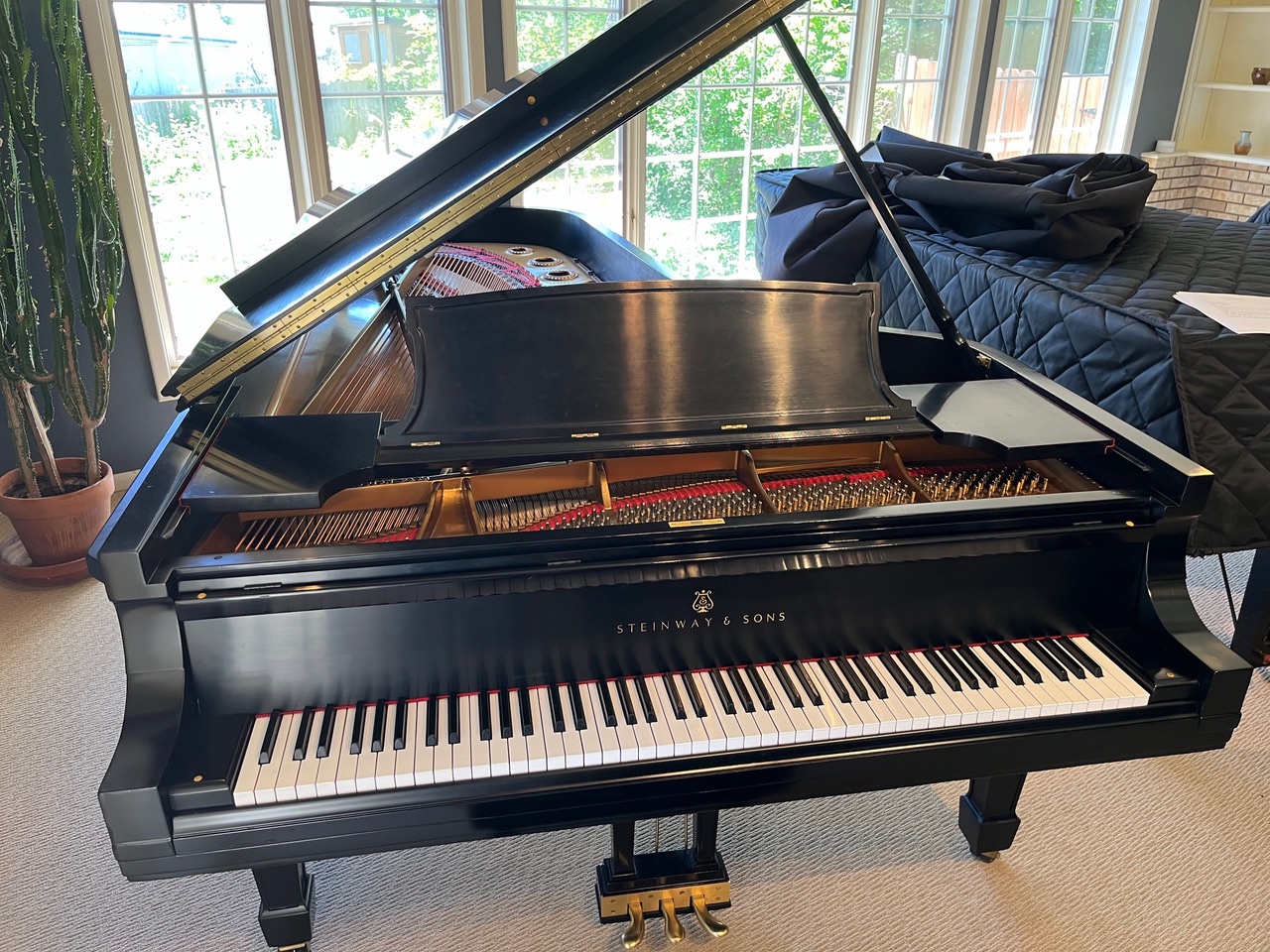 1924 Steinway D Restored at Steinway Factory in 1995