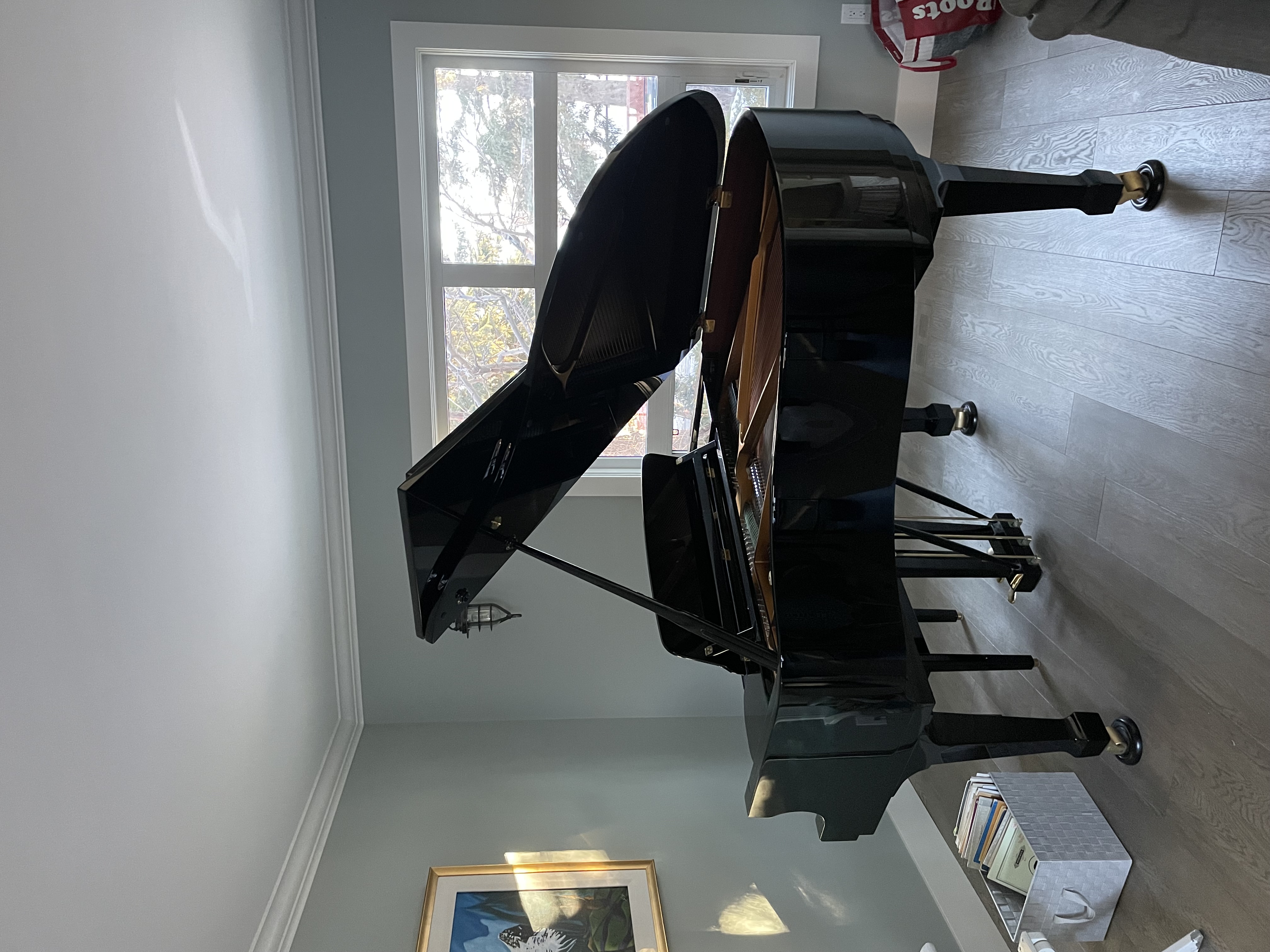 Bechstein A160 5”3 grand in excellent condition