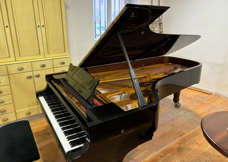 Steinway & Sons D 