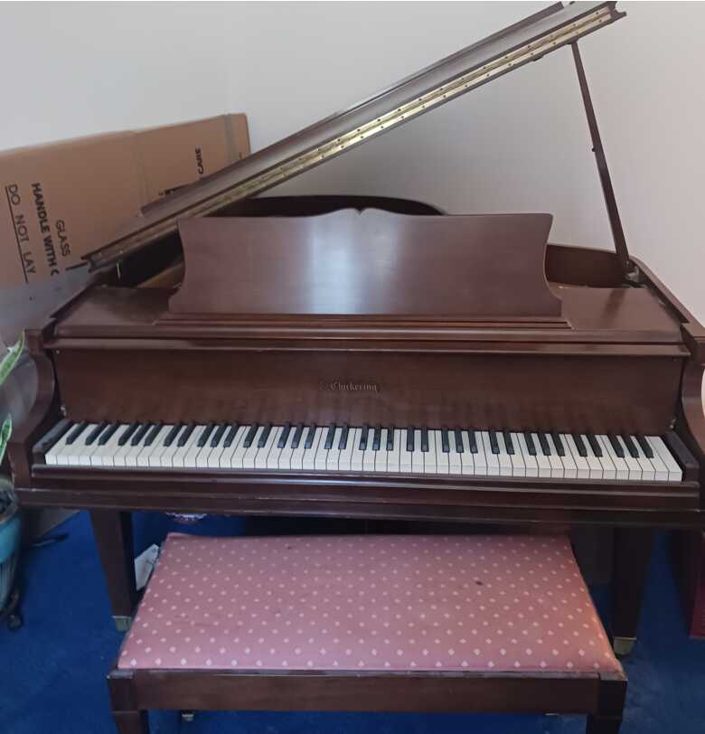 Great price for Baby Grand 