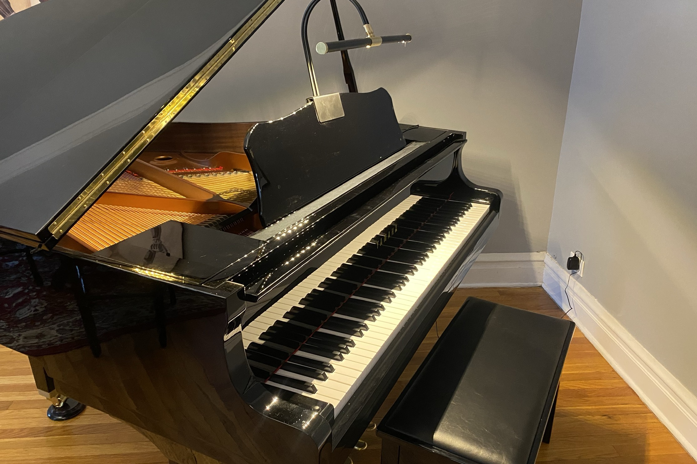 Essentially brand new baby grand piano at great price