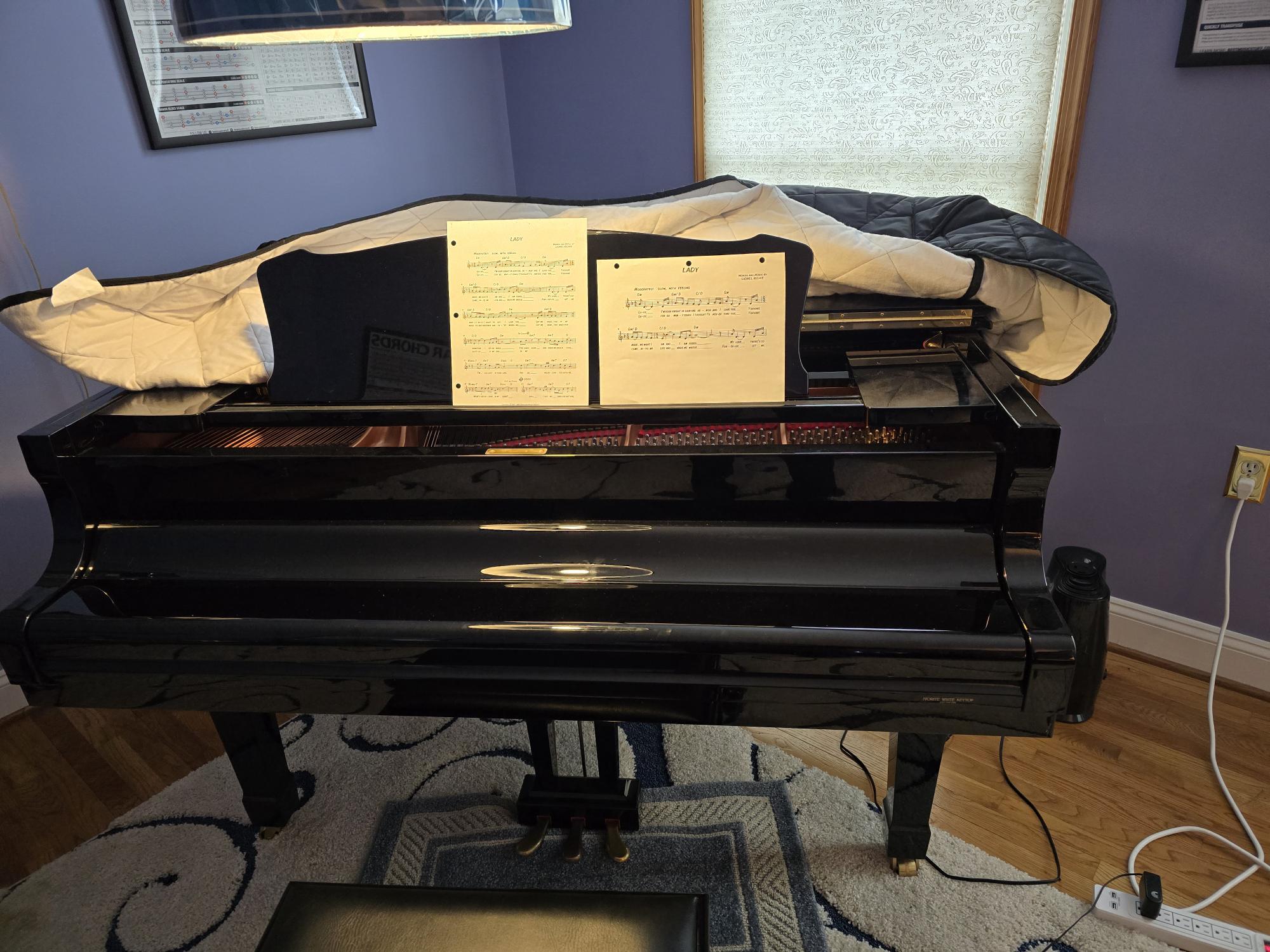 Beautiful Well Maintained Baby Grand