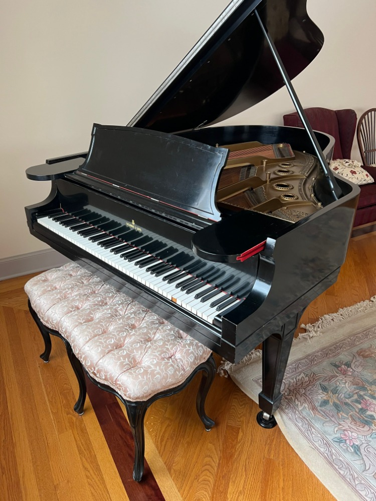 Steinway Baby Grand  w/ DamppChaser & Bench