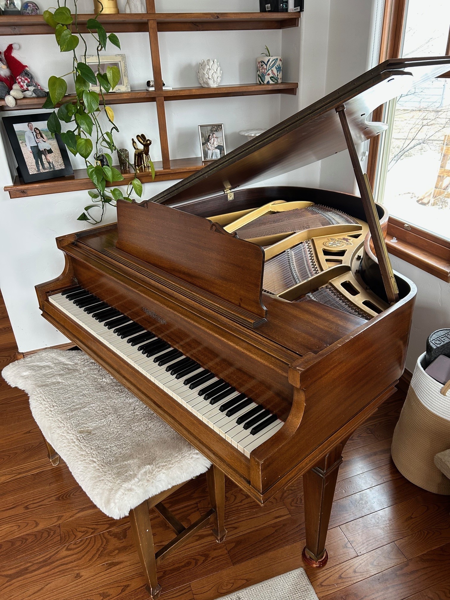 1937 Chickering Baby Grand