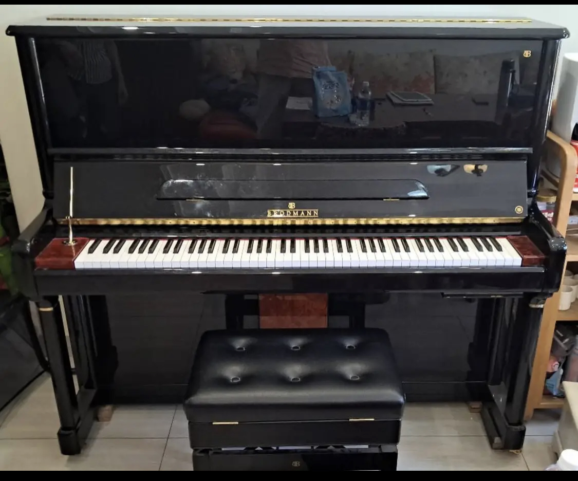 Brodmann BM132 with piano force self play mechanics 