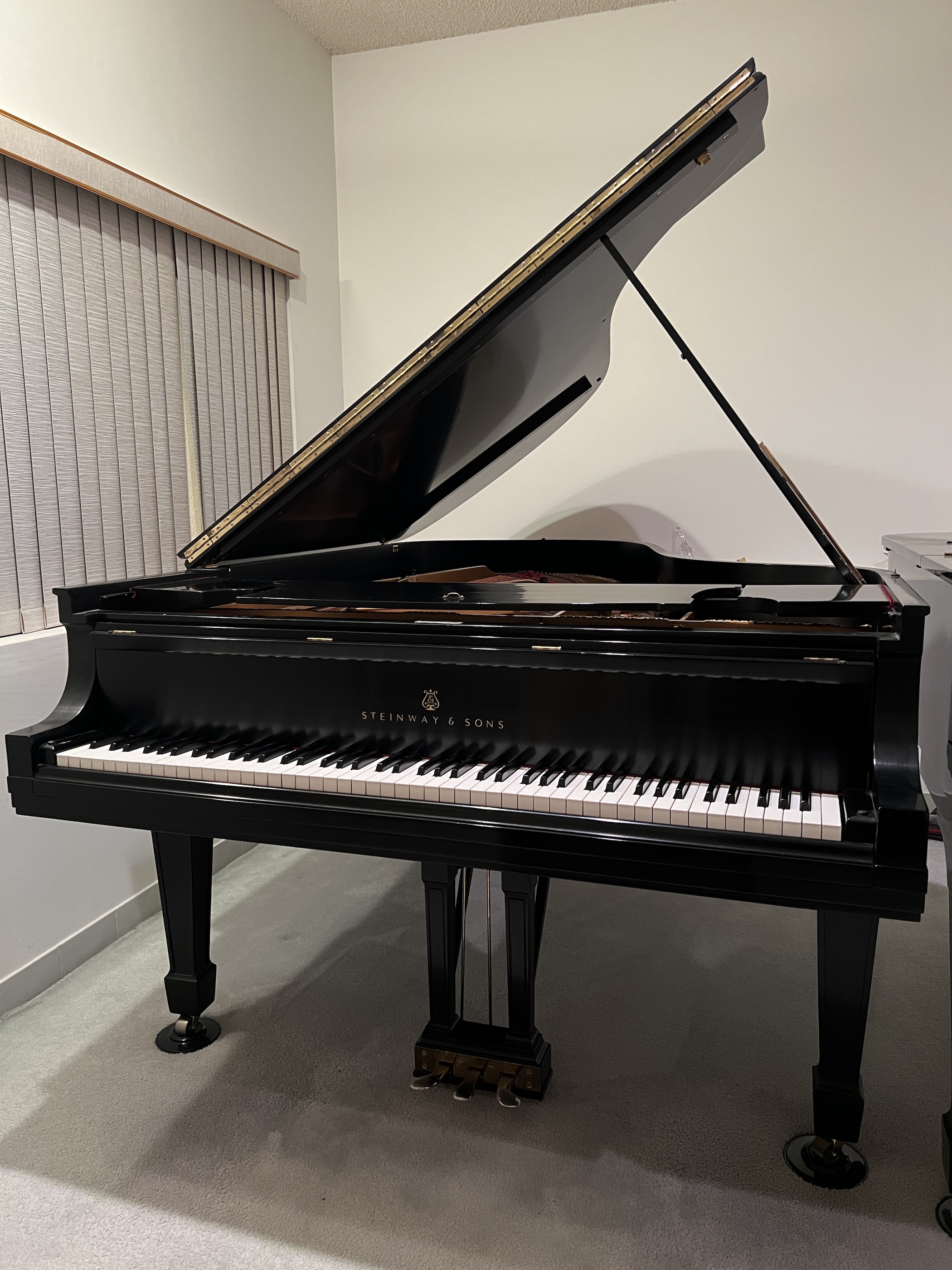 1925 Steinway & Sons Model B [Complete Restoration]