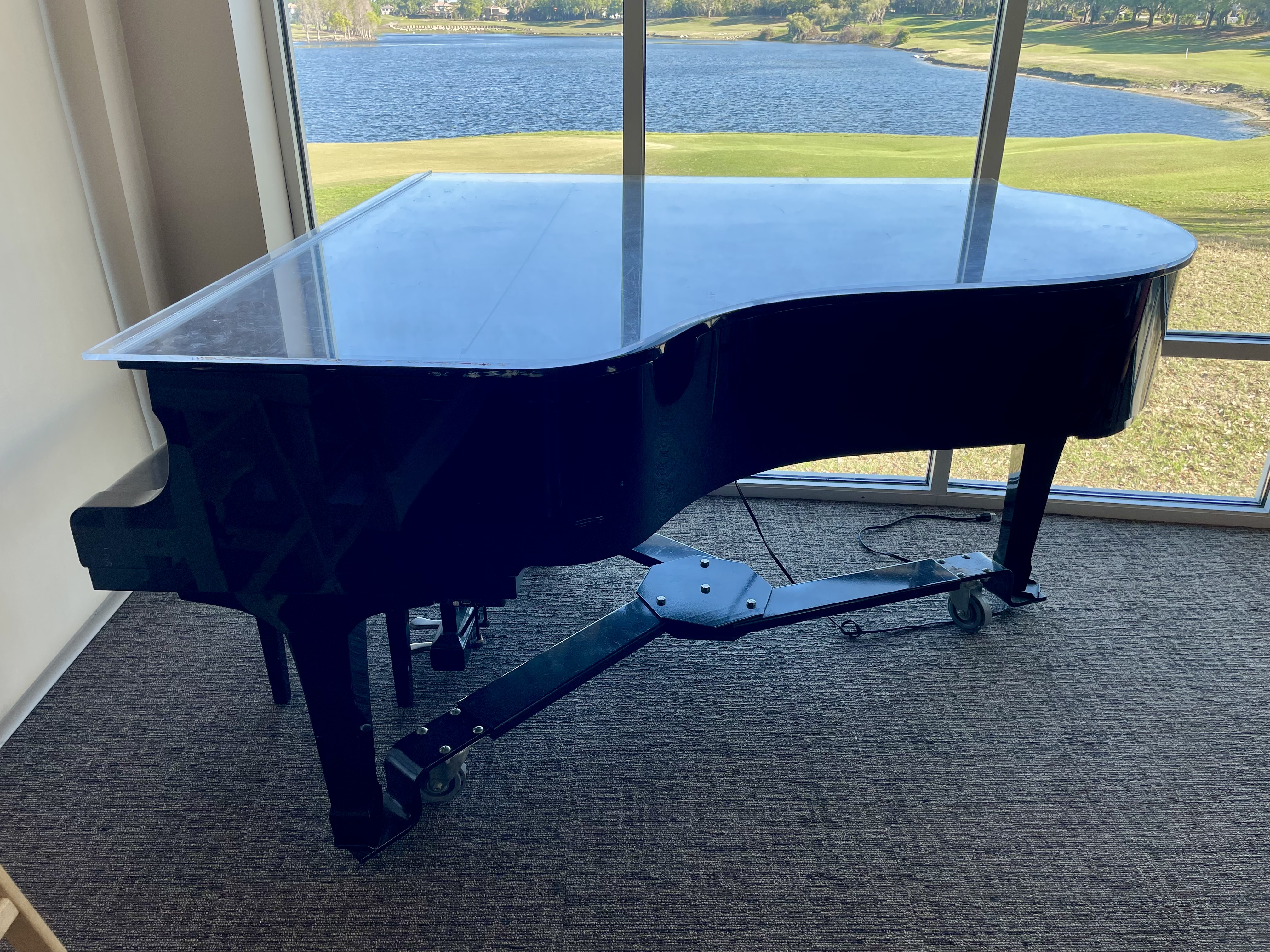 Yamaha G5 with Player System