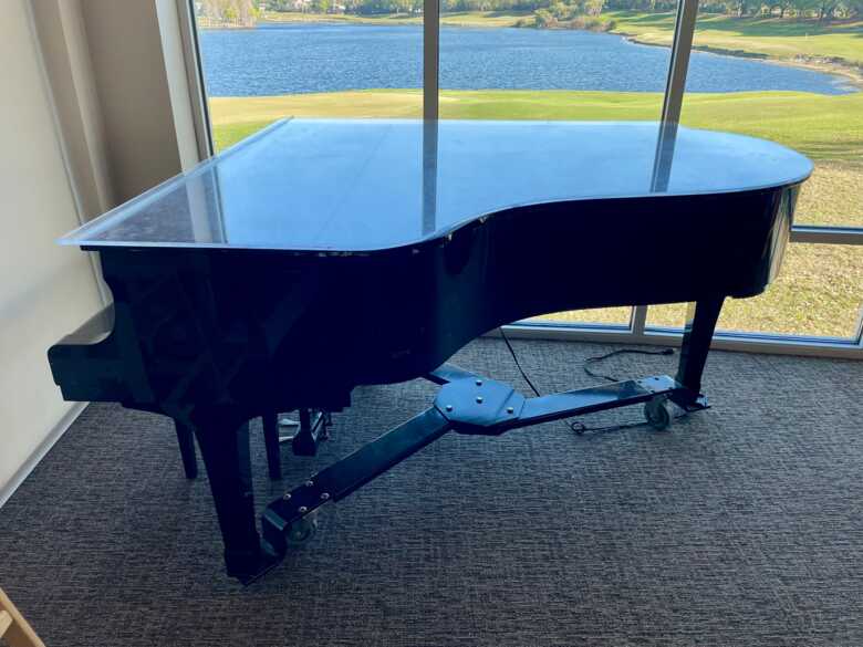 Yamaha G5 with Player System